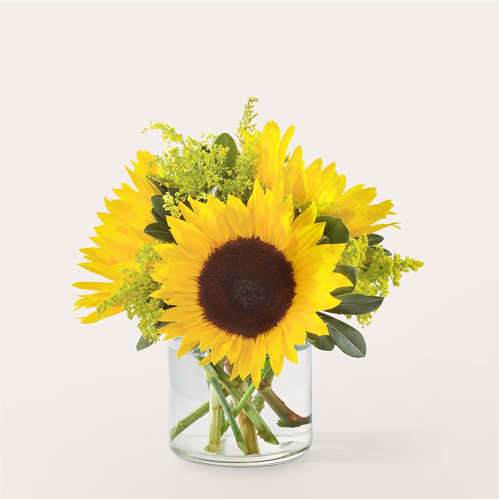 Beaming Sunflower Bouquet – MALLERY'S FLOWERS & GIFTS, Redding CA