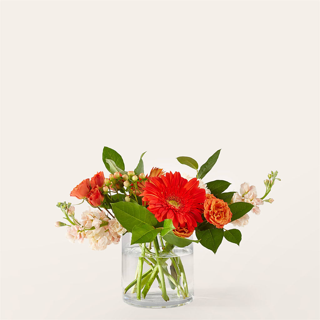 Paloma Please Bouquet – MALLERY'S FLOWERS & GIFTS, Redding CA