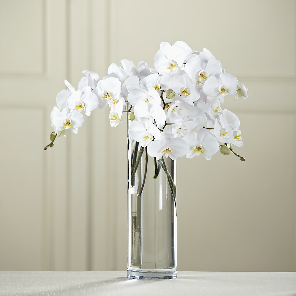 White Phalaenopsis Bouquet – MALLERY'S FLOWERS & GIFTS, Redding CA
