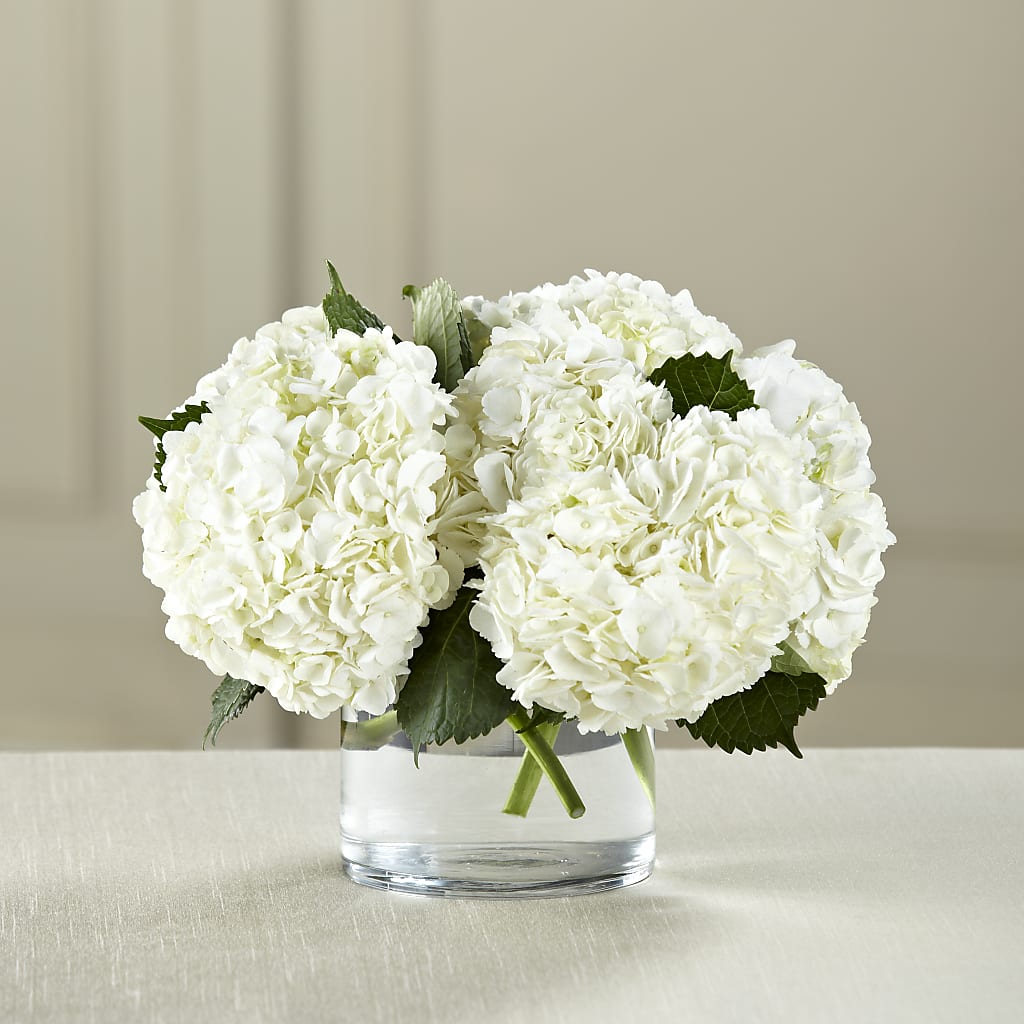 White Hydrangea Bouquet – MALLERY'S FLOWERS & GIFTS, Redding CA