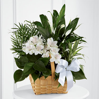Peace & Serenity Dishgarden – MALLERY'S FLOWERS & GIFTS, Redding CA