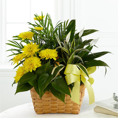 Loving Light Dishgarden – MALLERY'S FLOWERS & GIFTS, Redding CA