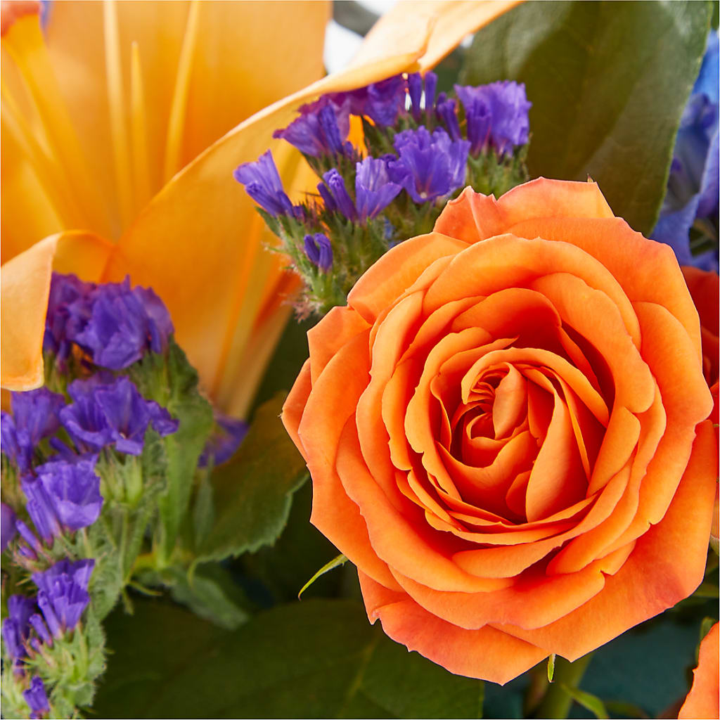 Radiant Citrus Box Bouquet – MALLERY'S FLOWERS & GIFTS, Redding CA