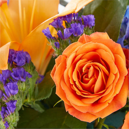 Radiant Citrus Box Bouquet – MALLERY'S FLOWERS & GIFTS, Redding CA