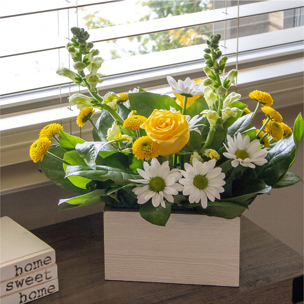Sun Salutation Box Bouquet – MALLERY'S FLOWERS & GIFTS, Redding CA