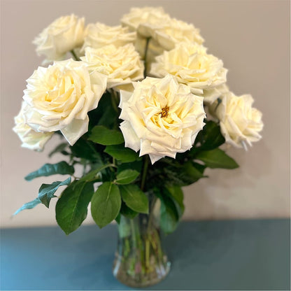 Long Stem Yellow Rose Bouquet – MALLERY'S FLOWERS & GIFTS, Redding CA