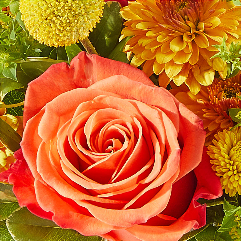 Gourdgeous Pumpkin – MALLERY'S FLOWERS & GIFTS, Redding CA