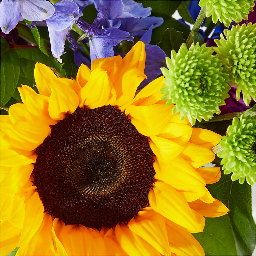 Catching Rays Bouquet – MALLERY'S FLOWERS & GIFTS, Redding CA