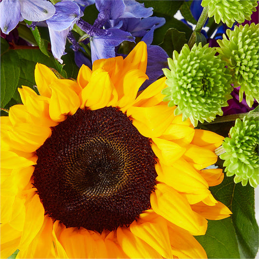 Catching Rays Bouquet – MALLERY'S FLOWERS & GIFTS, Redding CA