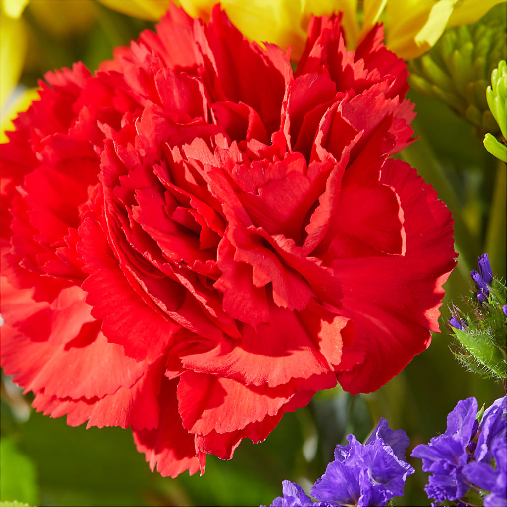 Brighter Days Bouquet – MALLERY'S FLOWERS & GIFTS, Redding CA