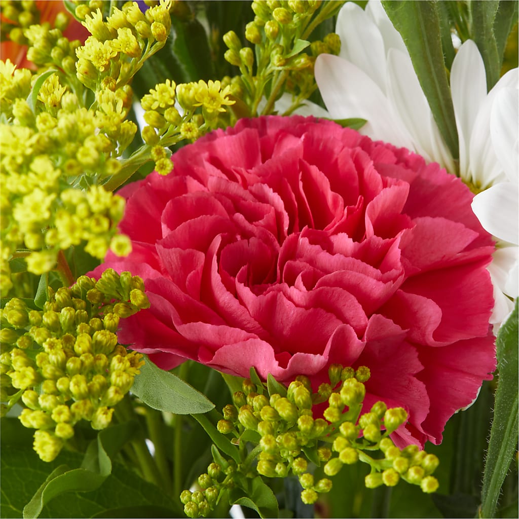 Oopsie Daisy Bouquet – MALLERY'S FLOWERS & GIFTS, Redding CA