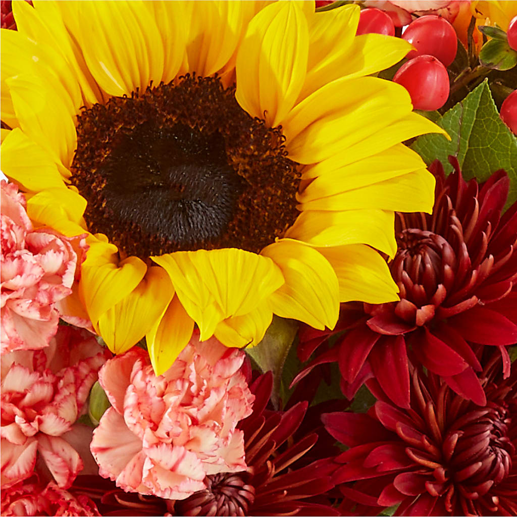 Fresh Cider Bouquet – MALLERY'S FLOWERS & GIFTS, Redding CA
