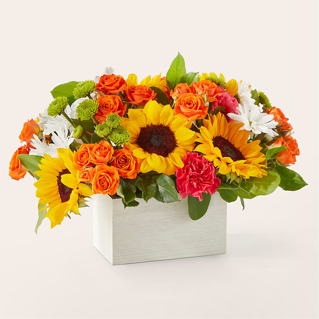 Sun-drenched Blooms Box Bouquet – MALLERY'S FLOWERS & GIFTS, Redding CA