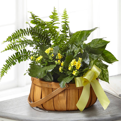 Always Dear Dishgarden – MALLERY'S FLOWERS & GIFTS, Redding CA