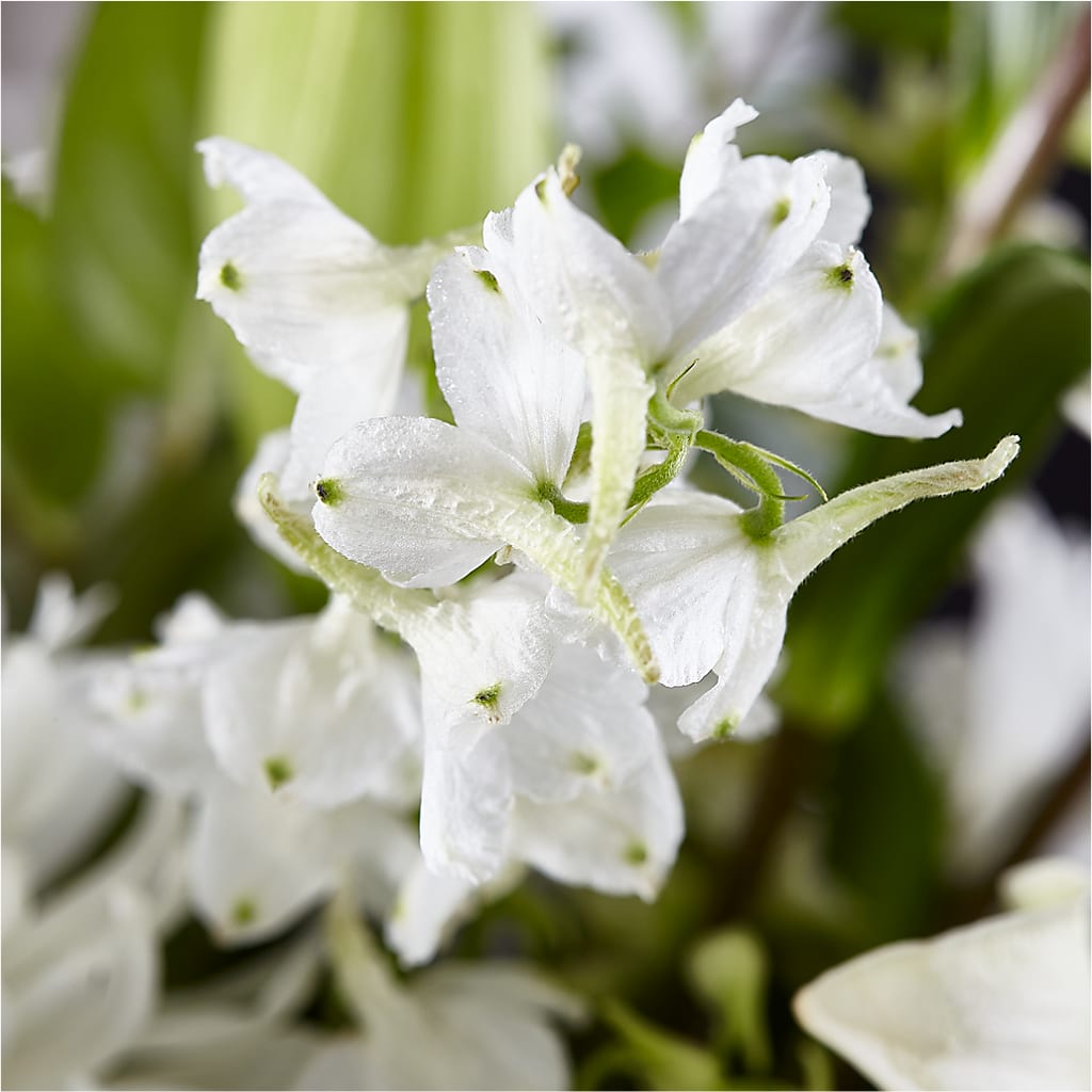 Classic Ivory – A Florist Original – MALLERY'S FLOWERS & GIFTS, Redding CA