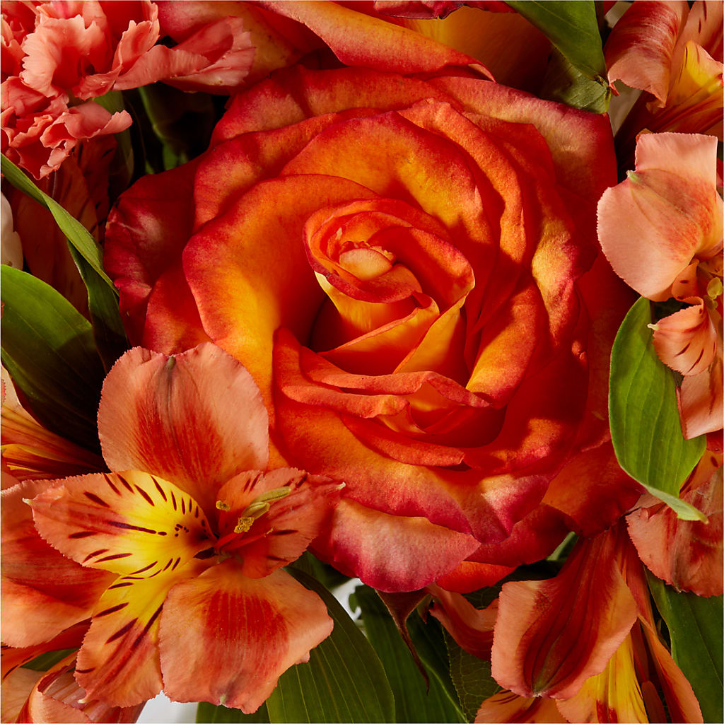 Apricot Glow Bouquet – MALLERY'S FLOWERS & GIFTS, Redding CA