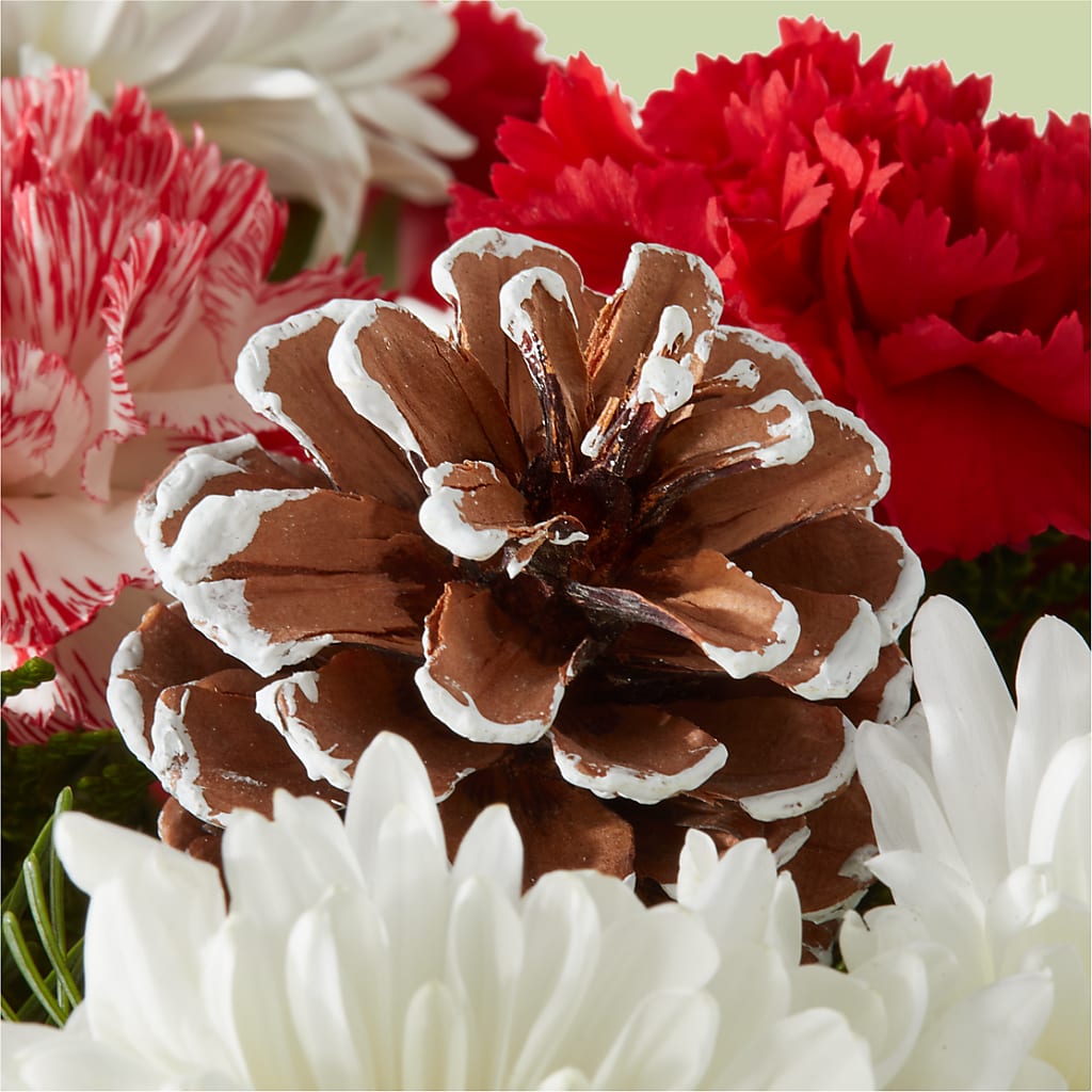 Candy Cane Lane Bouquet – MALLERY'S FLOWERS & GIFTS, Redding CA
