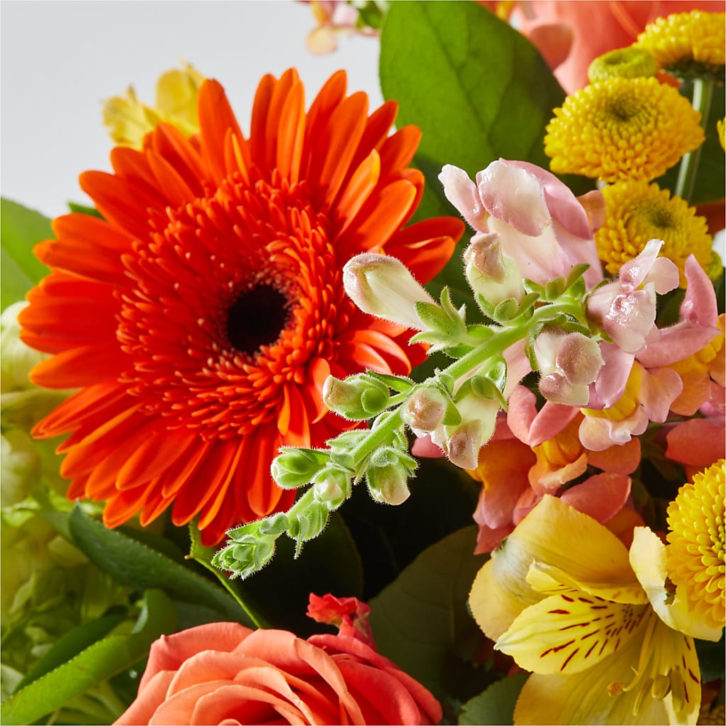 Autumn Sunshine Bouquet – MALLERY'S FLOWERS & GIFTS, Redding CA