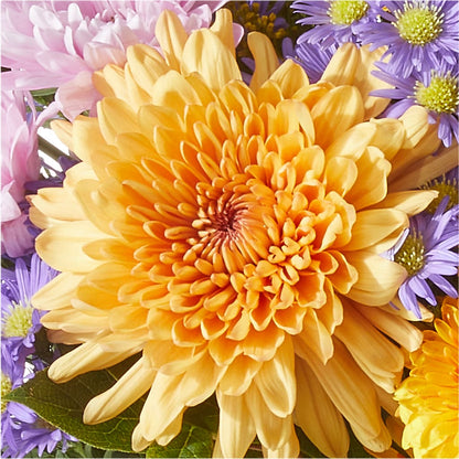 Countryside Bouquet – MALLERY'S FLOWERS & GIFTS, Redding CA