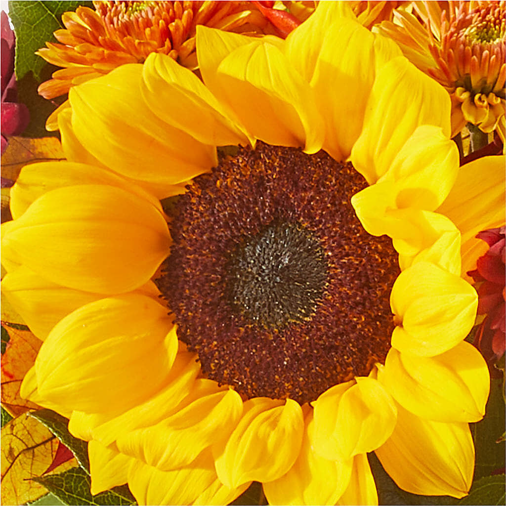 Sunny Side Bouquet – MALLERY'S FLOWERS & GIFTS, Redding CA