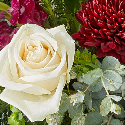 Cranberry Fizz Bouquet – MALLERY'S FLOWERS & GIFTS, Redding CA