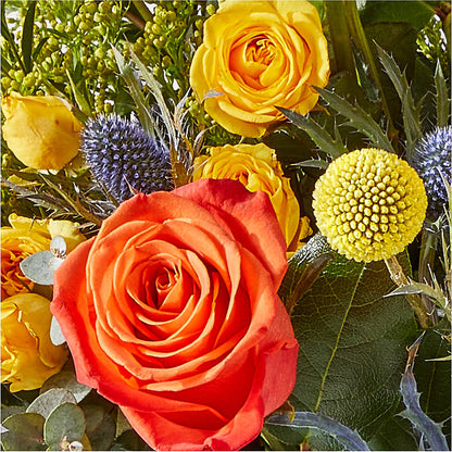 Disco Bouquet – MALLERY'S FLOWERS & GIFTS, Redding CA