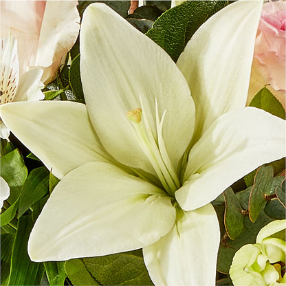 Ballet Slippers Bouquet – MALLERY'S FLOWERS & GIFTS, Redding CA