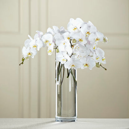 White Phalaenopsis Bouquet – MALLERY'S FLOWERS & GIFTS, Redding CA