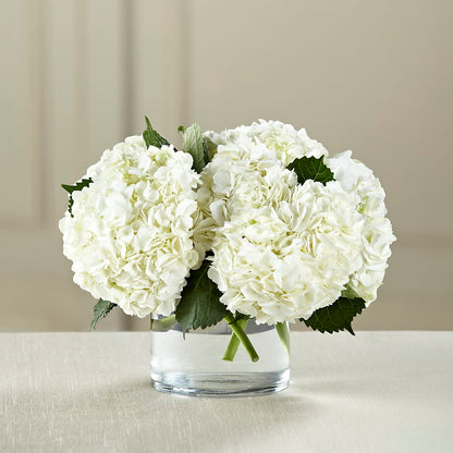 White Hydrangea Bouquet – MALLERY'S FLOWERS & GIFTS, Redding CA